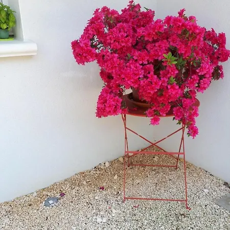 La Salamandre, D'hotes Bed & Breakfast